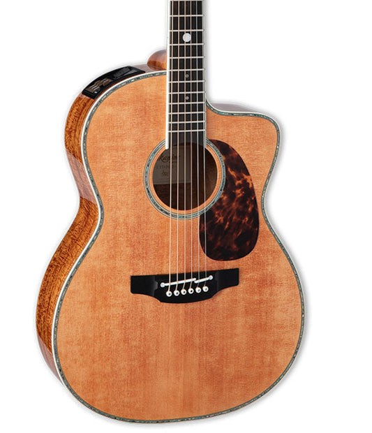 Takamine LTD2022 Limited Edition Acoustic Guitar