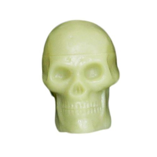 Glow in the Dark Skull Shaker