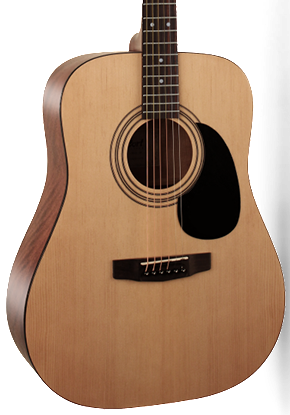 Cort CAP810 - Trailblazer Acoustic Guitar Pack
