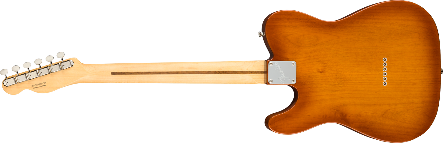 Fender American Performer Telecaster - Rosewood - Honey Burst