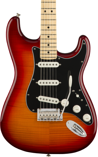 Fender Player Stratocaster - Plus Top - Maple Neck - Aged Cherry Burst