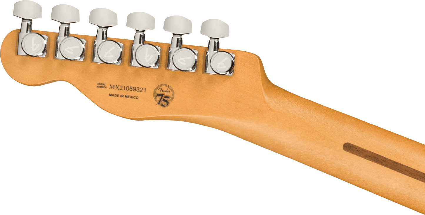 Fender Player Plus Nashville Telecaster - Butterscotch