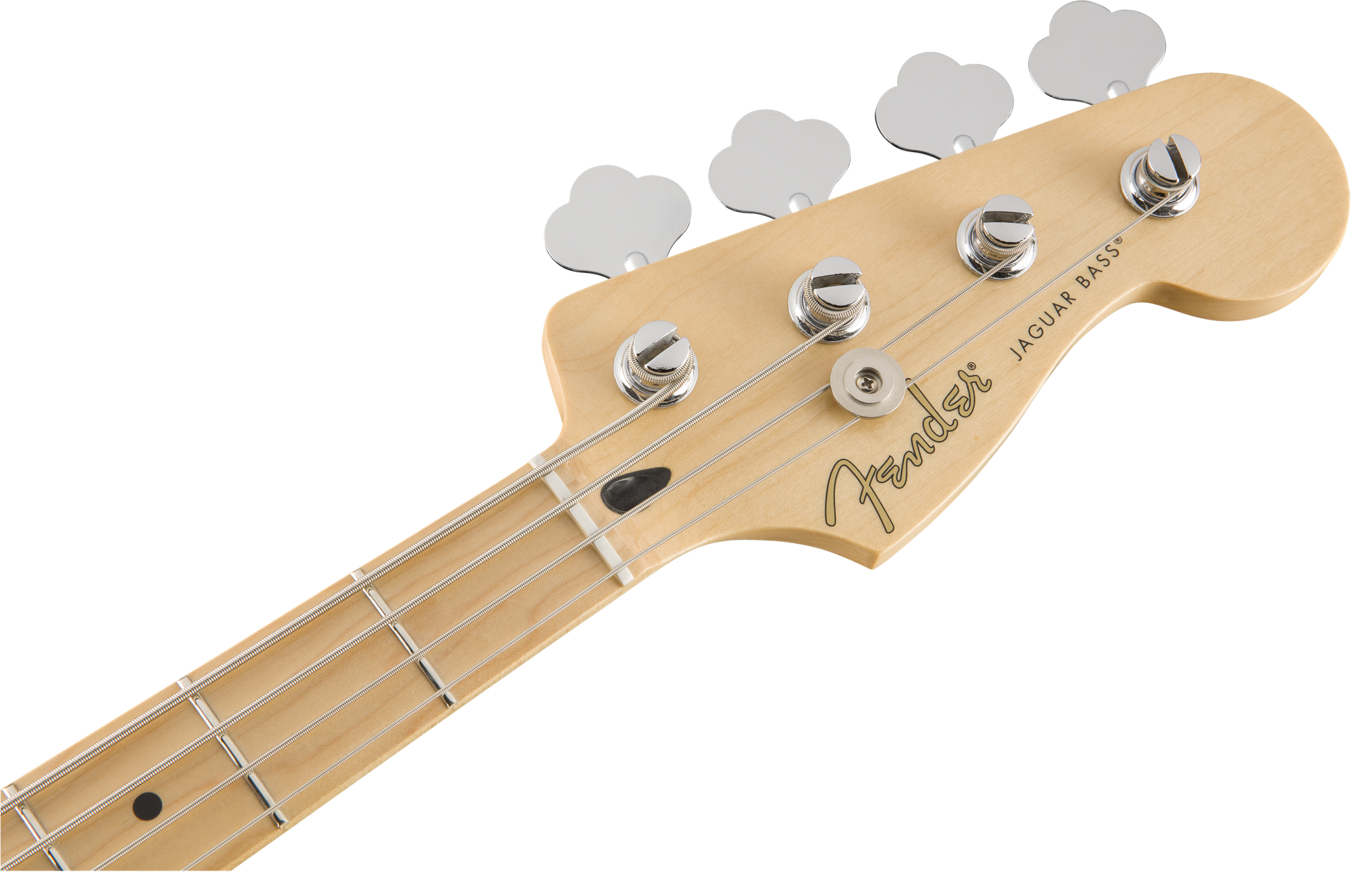 Fender Player Jaguar Bass Maple Neck Tidepool Guitar