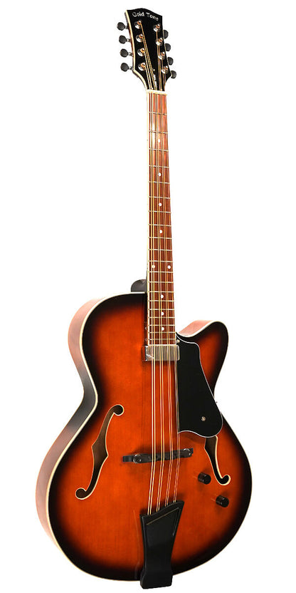 Gold Tone Mandocello w/ Pickup & Case
