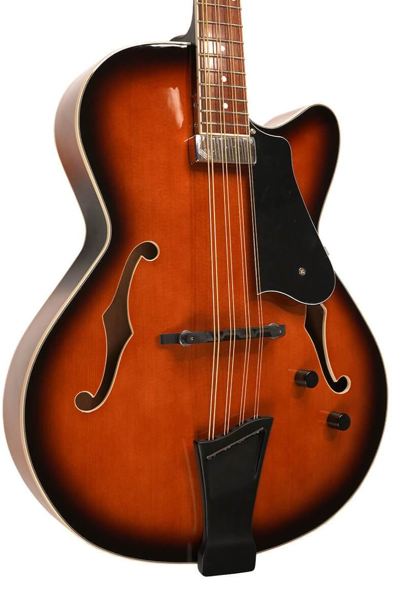Gold Tone Mandocello w/ Pickup & Case