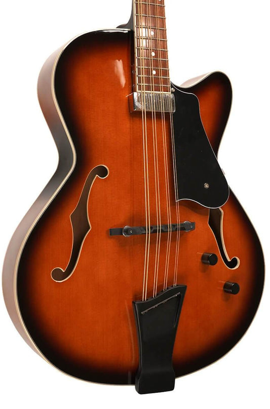 Gold Tone Mandocello w/ Pickup & Case