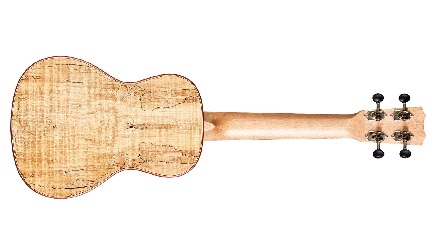 Cordoba 24C Solid Top Concert Ukulele