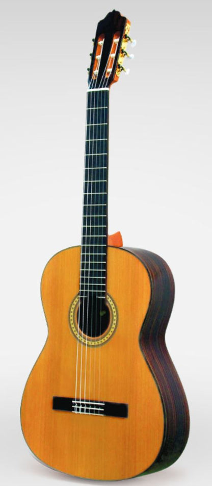 Esteve 6PS - Cedar Top & Rosewood Classical Guitar