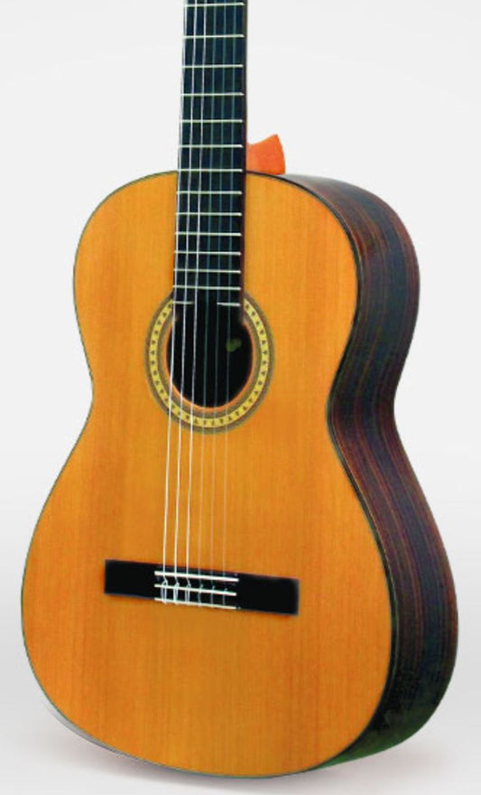 Esteve 6PS - Cedar Top & Rosewood Classical Guitar