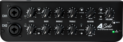 Laney A-Solo 60w Acoustic Amp
