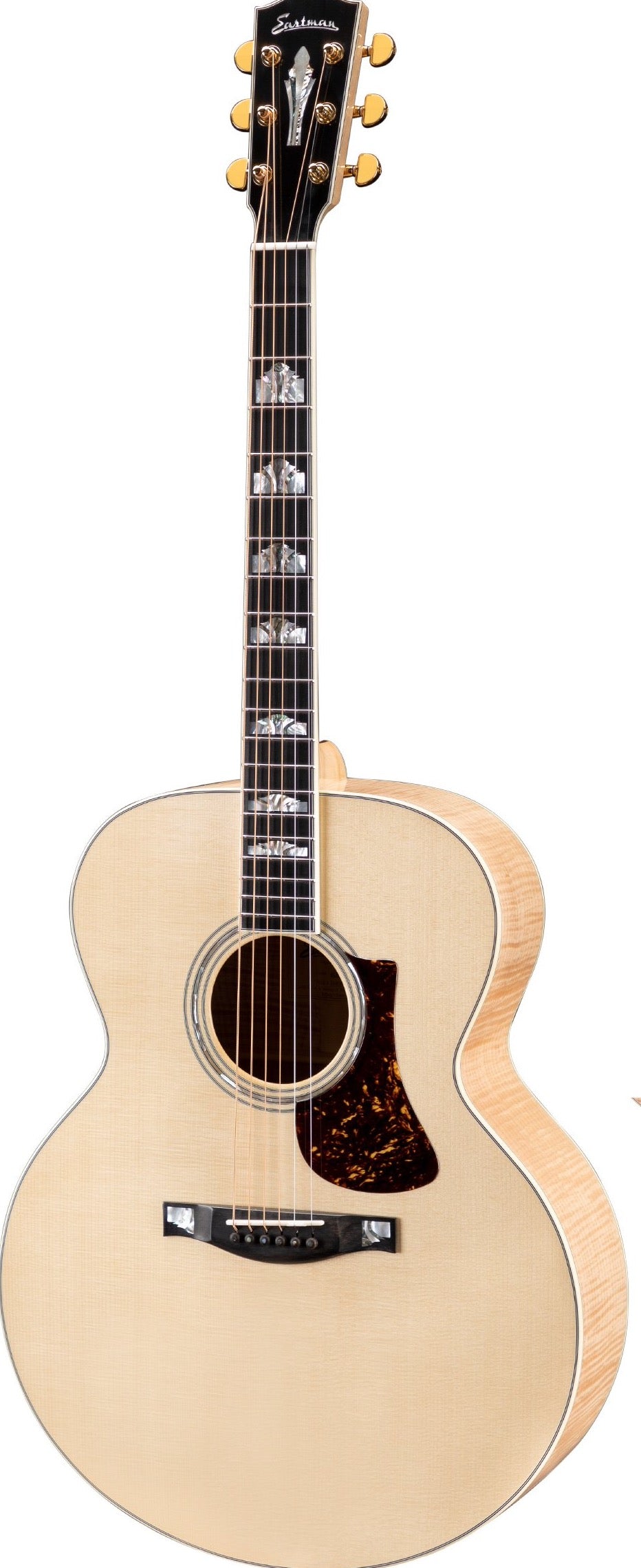 EASTMAN AC630 BD JUMBO FLAMED MAPLE