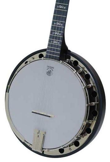Deering Goodtime 2 Artisan Resonator Back Banjo
