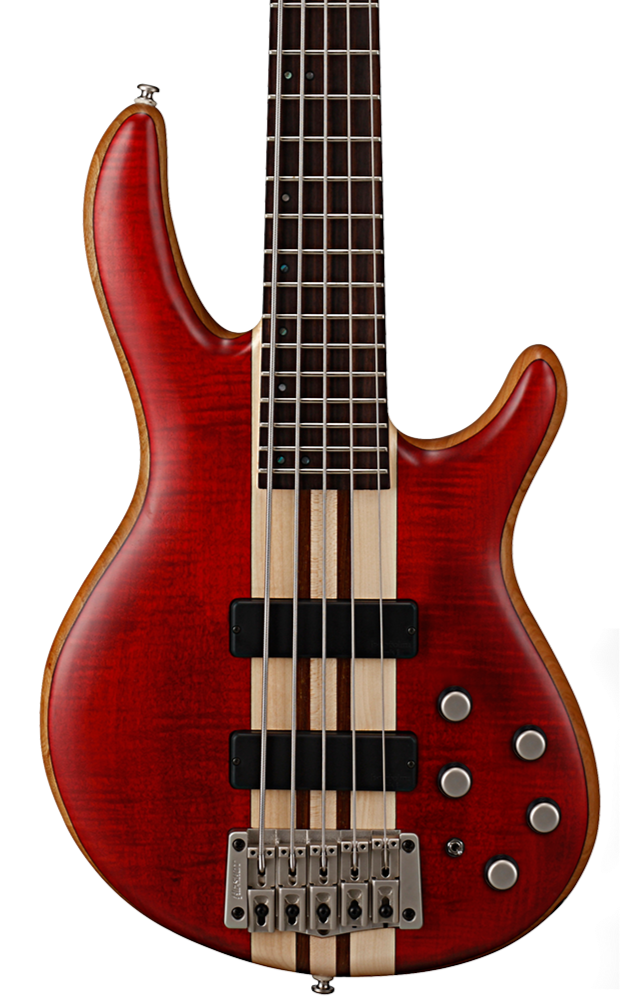 Cort A5 Plus 5 String Bass Figured Maple Mahogany Black Cherry