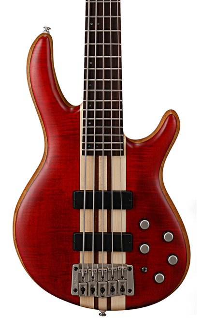 Cort A5 Plus 5 String Bass Figured Maple Mahogany Black Cherry