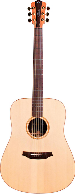 Cordoba D10 Acoustic Guitar