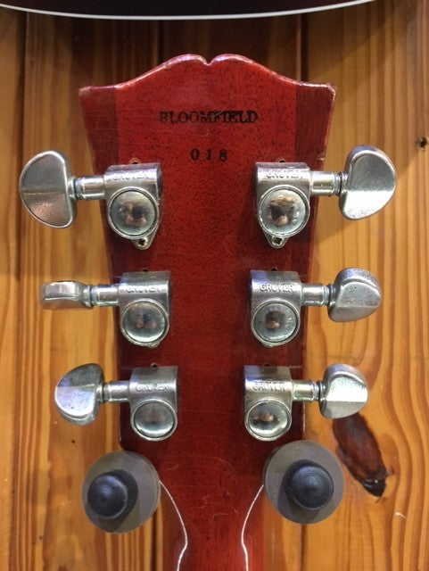 Gibson Les Paul 1959 Michael Bloomfield  - Aged by Tom Murphy #018