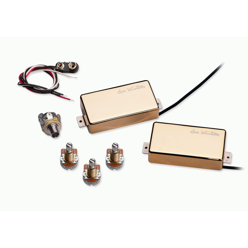 Seymour Duncan Dave Mustaine Livewire Pickup Set - Gold