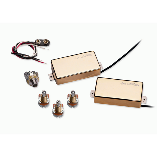Seymour Duncan Dave Mustaine Livewire Pickup Set - Gold