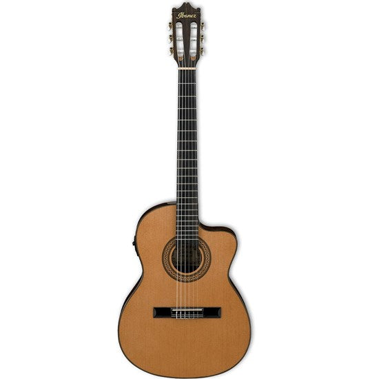 Ibanez Acoustic Guitars