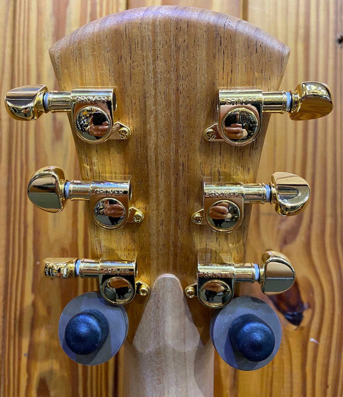 Cole Clark Little Lady 2E - Solid Blackwood