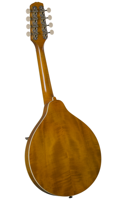 KENTUCKY KM-252 A-STYLE TRANS AMBER