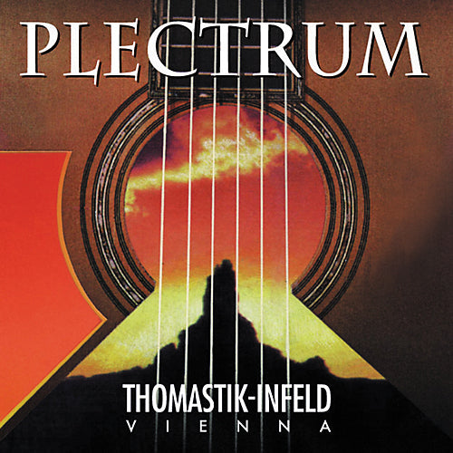 Thomastik AC110 Plectrum Bronze Acoustic Strings - 10-41