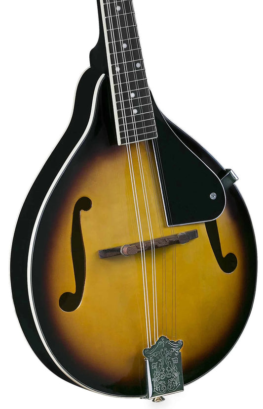 Rover RM-25 A-Style Teardrop Mandolin - Sunburst