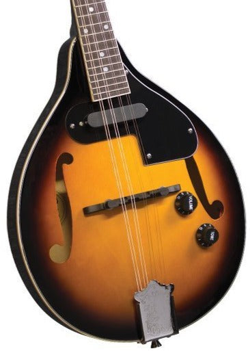 Rover RM-25E A-Style Teardrop Mandolin