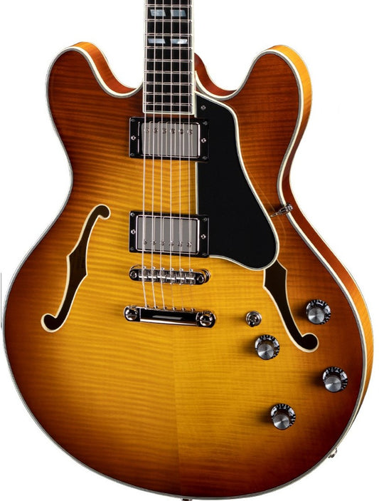 Eastman T486 Semi-Hollowbody Electric - Gold Burst