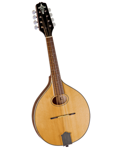 Celtic mandolin store