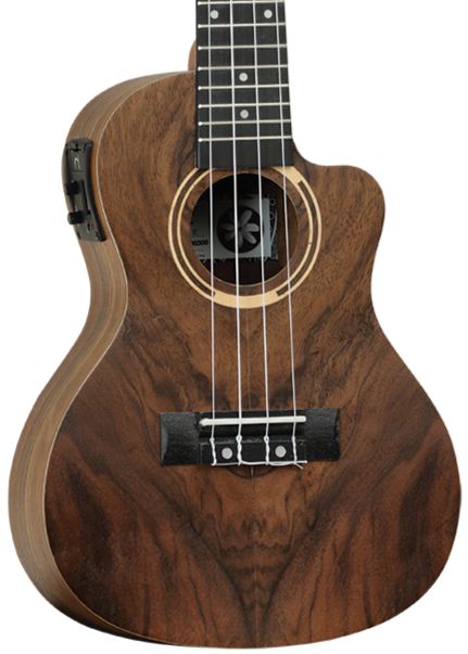 Tanglewood TWT21E Tiare Concert Ukulele