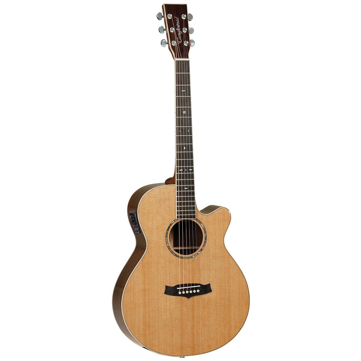 Tanglewood TW45RE Sundance Reserve All Solid Guitar Brothers Online