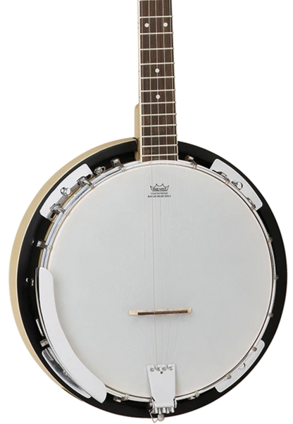 Tanglewood 6 string banjo deals
