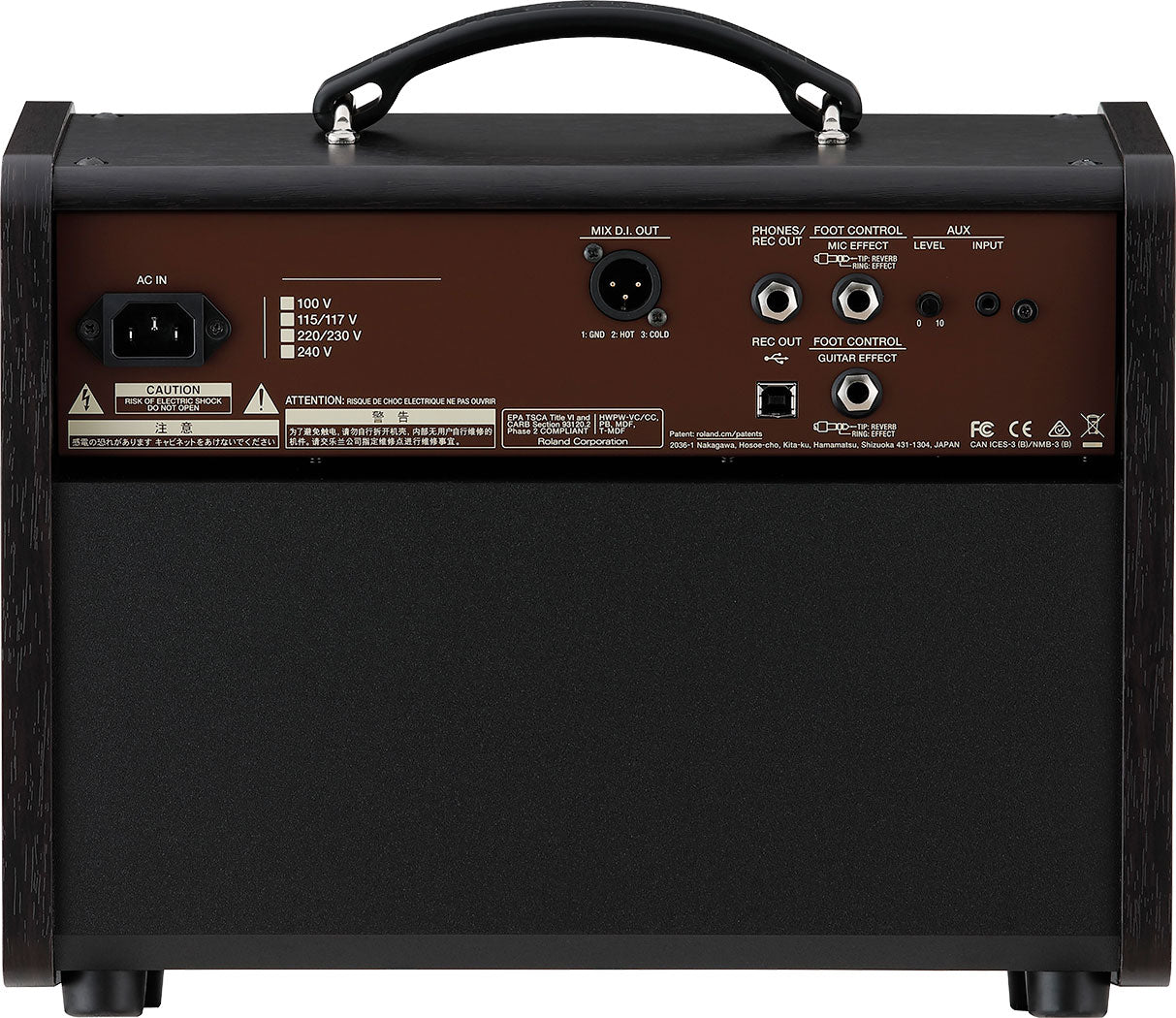 Boss Acoustic Singer Live LT Amplifier