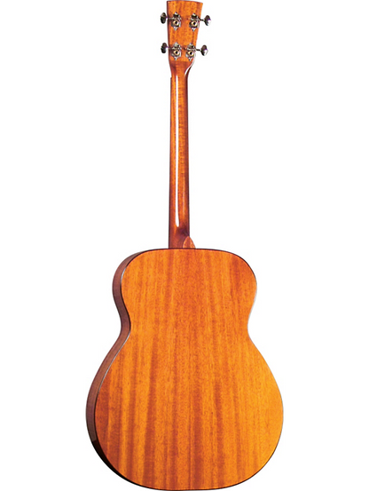 Blueridge BR-40T Contemporary Series Tenor Acoustic Guitar