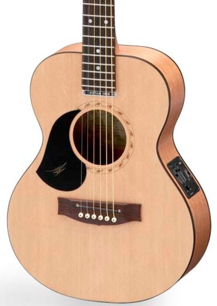 Maton Acoustic Guitars