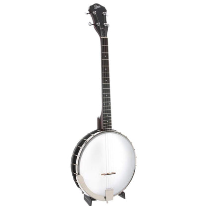 Rover RB-20T 4-string Tenor Banjo Openback