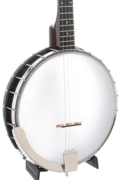 Rover RB-20T 4-string Tenor Banjo Openback