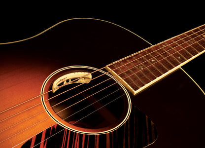 LR Baggs Anthem Tru Mic & Element Acoustic Guitar Pickup