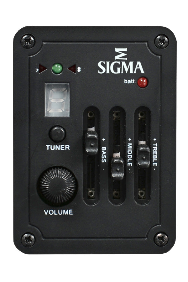 Sigma DM12E 12-String Acoustic Guitar