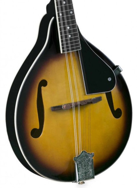 Rover RM-25S A-style Solid Top Mandolin