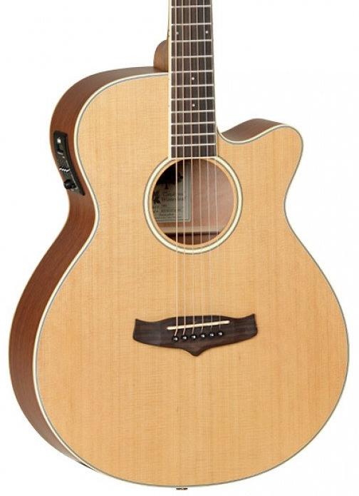 Tanglewood TW9 Winterleaf Acoustic