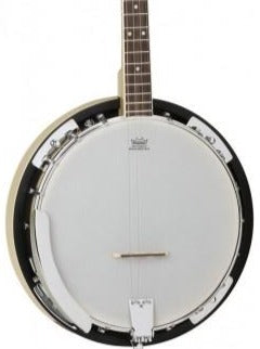 Tanglewood TW18-M4 Tenor Resonator Banjo